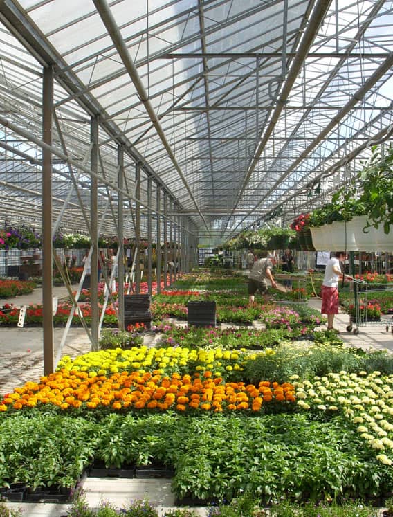 horticulture center dubai abu dhabi