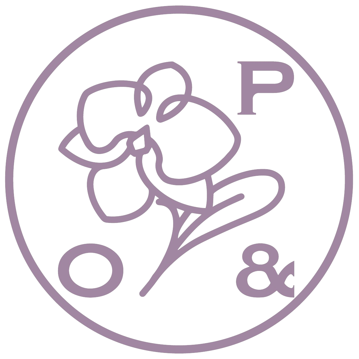 the purple orchid uae